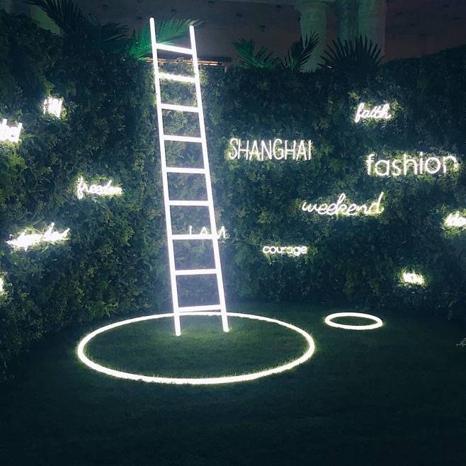 合影墙 拍照墙 打卡点 互动拍照 网红打卡 (3845)