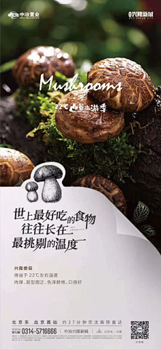 -格林尼治-采集到餐饮 美食