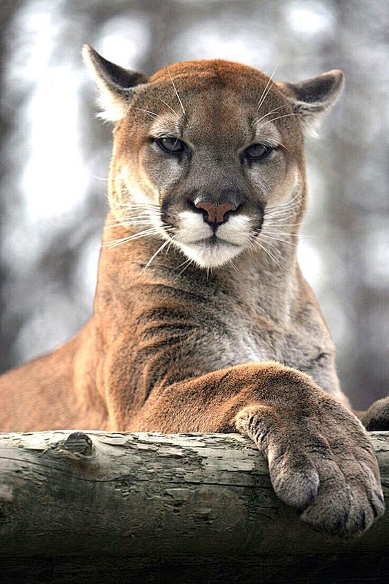 564_846竖版 竖屏