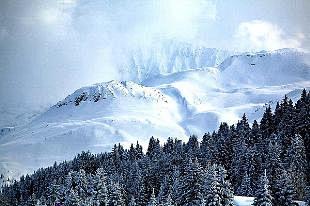 奥地利 匈牙利 捷克 德国 斯洛伐克东欧五国经典