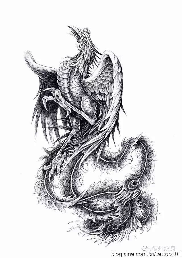 纹身图案手稿素材凤凰