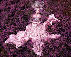 湖畔阴影采集到克里斯蒂·米切尔(Kirsty Mitchell),英国摄影师