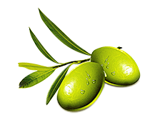 窑里陈采集到植物—素材