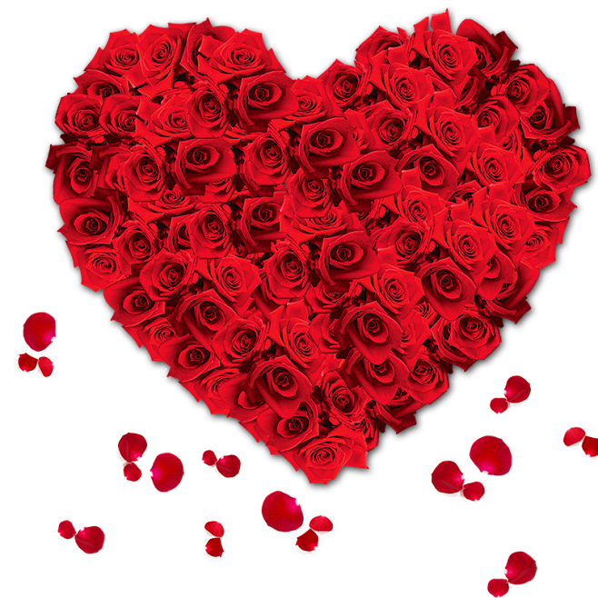 玫瑰爱心