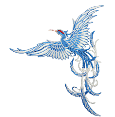 6鸟的羽毛结构基本特征 - wby_6123 - wby_