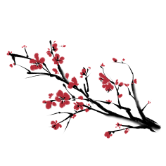 素材:植物-花瓣网|陪你做生活的设计师 | 下载免抠_摆件png