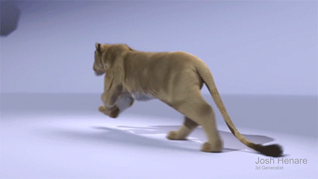 狮子走路动图图片