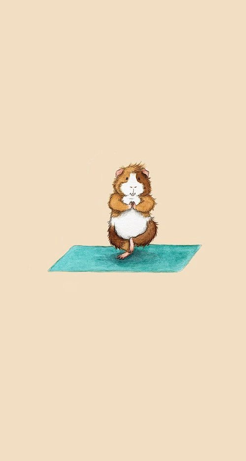 小仓鼠瑜伽插画图片感谢喜欢阿糖是个呆萌控么么哒萌萌哒
