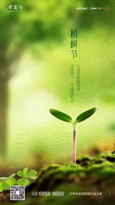 一江小鱼采集到日篇
