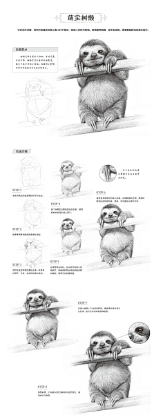 木乙采集到教程