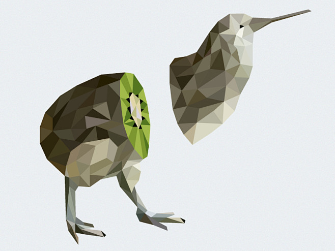 kiwi bird