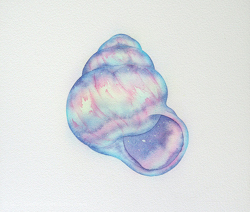 手绘水彩星空彩虹荧光渐变贝壳插画
