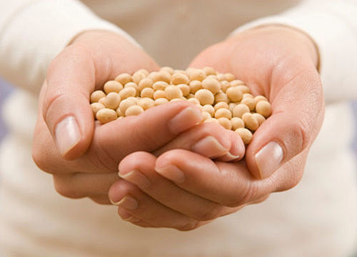 手捧黄豆