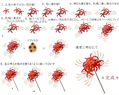 怪物-stranger采集到植物花鸟绘