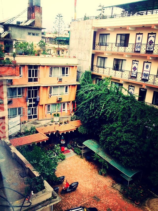 隔壁blue diamond的紫藤开得正绚烂,尼泊尔大