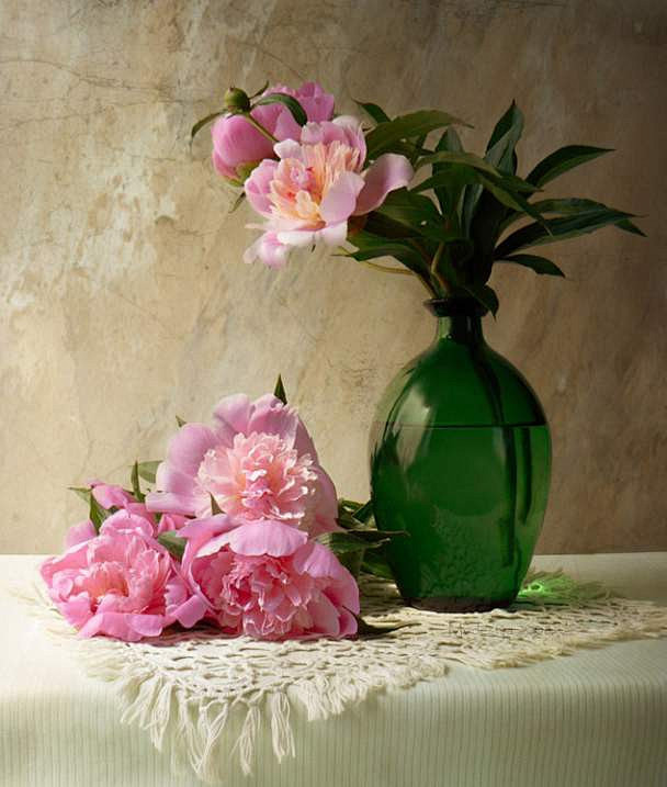 花卉静物摄影的搜索结果百度图片搜索