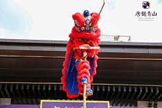 尽洗·铅华采集到舞狮