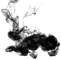 MissChenxx采集到碎片