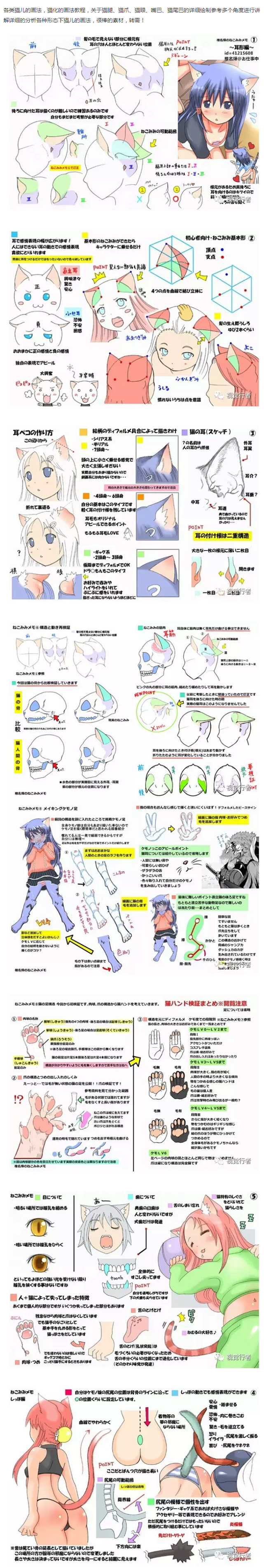 狼爪的画法 金刚狼爪 狼爪冲锋衣 狼爪户外 Www Dingjisc Com