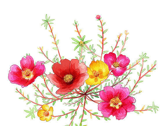 08:26:04酔って花骨十里桃林忘前尘该采集也在以下画板加载更多