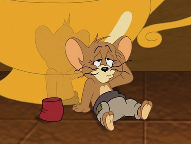 动画片大全猫和老鼠