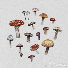 莪媞國寳采集到手绣