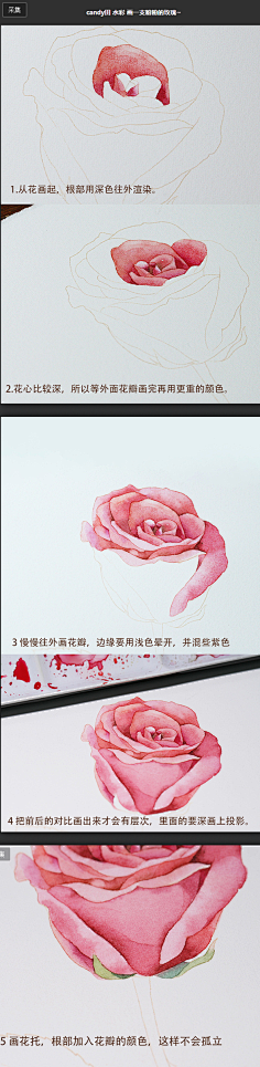 水蓝0采集到水彩教程