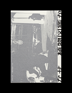 青蛙X青蛙采集到字体与版面设计