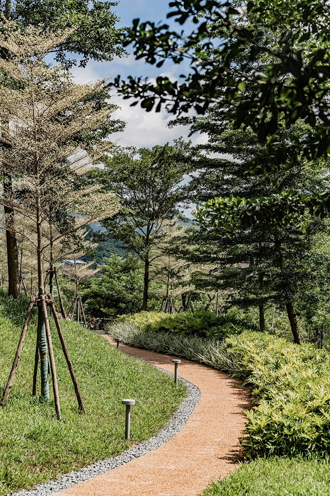 萬科森林溼地公園三亞源點設計谷德設計網gooood是中國最受歡迎與最有