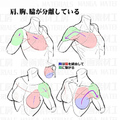 指尖逐艺梦采集到教材