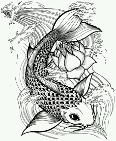 com 黑白 线稿 手绘 装饰画 鱼