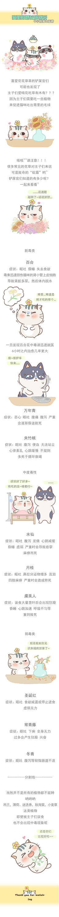 阿野super采集到卡通-四格漫画