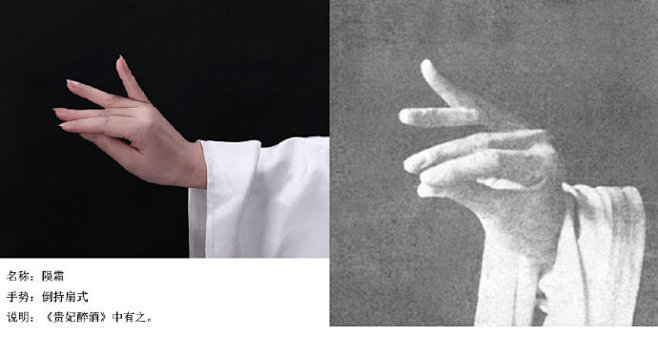 绘画参考梅兰芳手势梅派兰花指摄影展