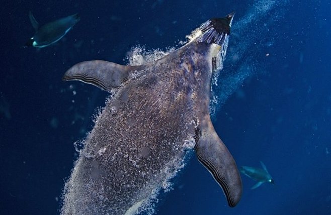 北京时间2013年2月15日18:00(荷兰当地时间2