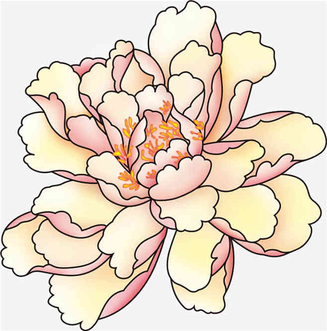 粉色手绘牡丹花