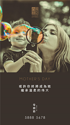 棉大花儿采集到汤臣一品合集