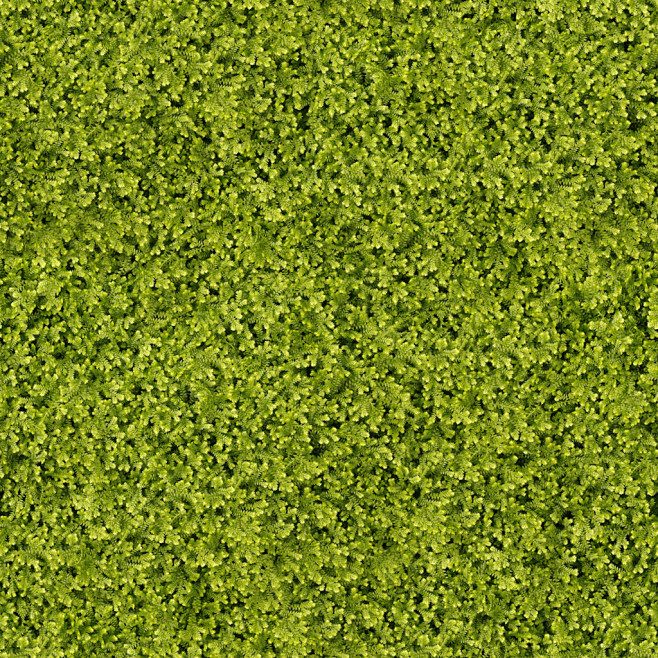 地被-花瓣网|陪你做生活的设计师 | 材质贴图_360图片