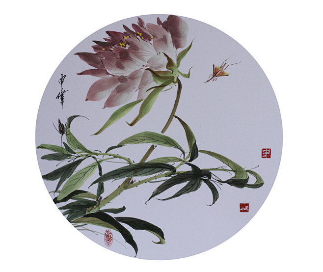 申伟工笔花鸟作品欣赏