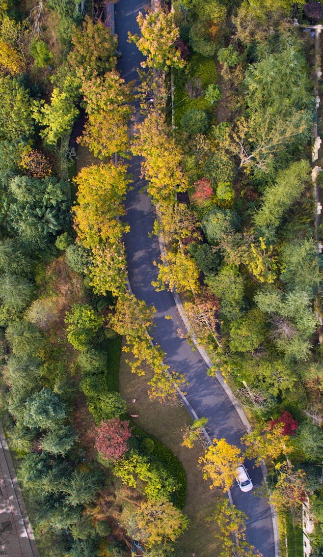 九月森林老山群落里重生的一座天宫之城第29张图片