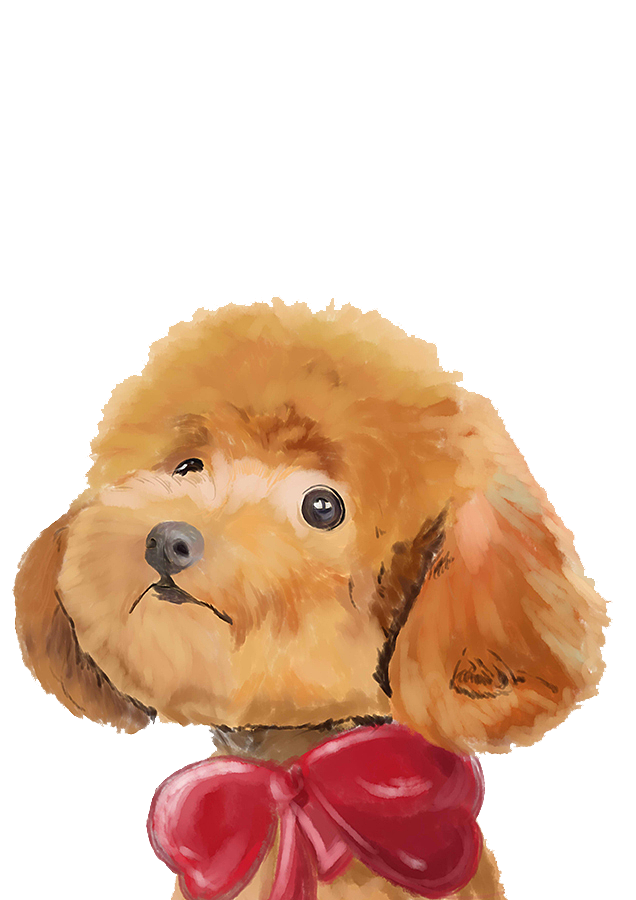 可爱的泰迪狗泰迪可爱卡通手绘棕色温顺毛茸茸小狗卡通泰迪狗其他背景