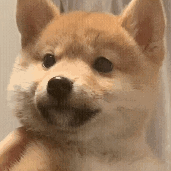 都是精品友友们兄弟萌给俺点赞噢有好多是从别人那存的嘻嘻表情包