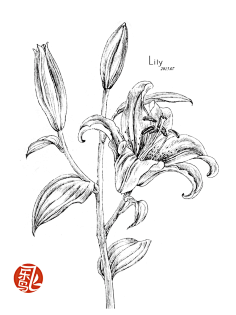 飞乐鸟采集到飞乐鸟插画篇