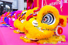 尽洗·铅华采集到舞狮