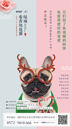 ╠所有の故事采集到宠物banner-活动页