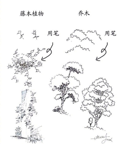 朵境采集到X 绘画原理