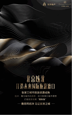 2046king采集到地产系列稿