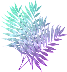 O/N/采集到PNG素材