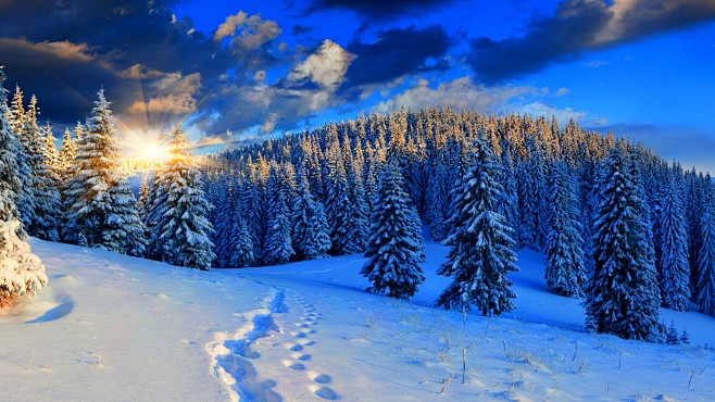 冬日雪景唯美风景图宽屏壁纸