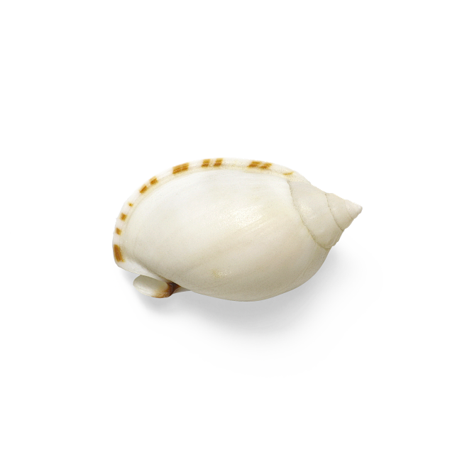团子爱阳光采集到png
