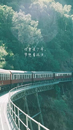 我不怀念采集到从开始到现在